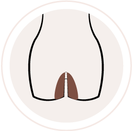 Illustration of a person's lower body, front view.